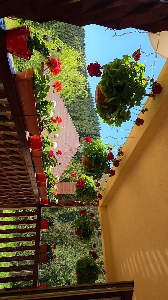 Casa Ursuleasa