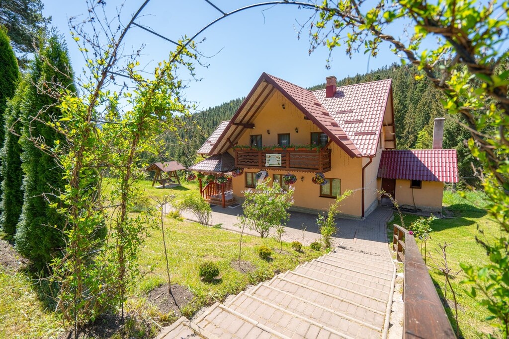 Casa Ursuleasa