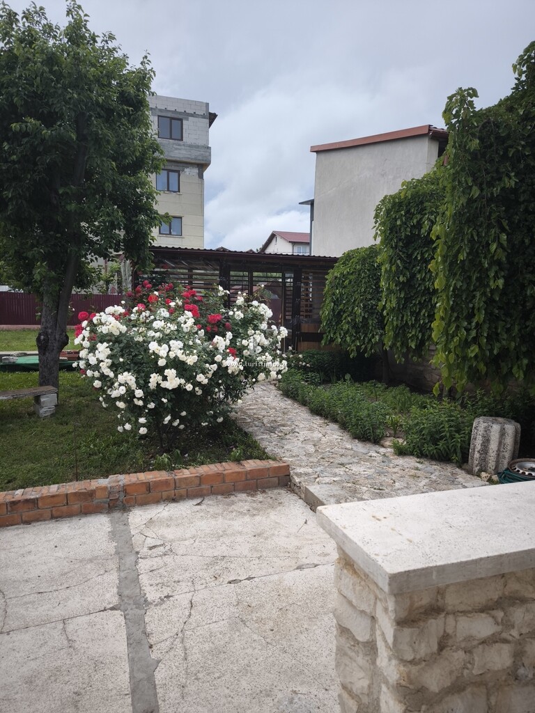 Casa Fifi