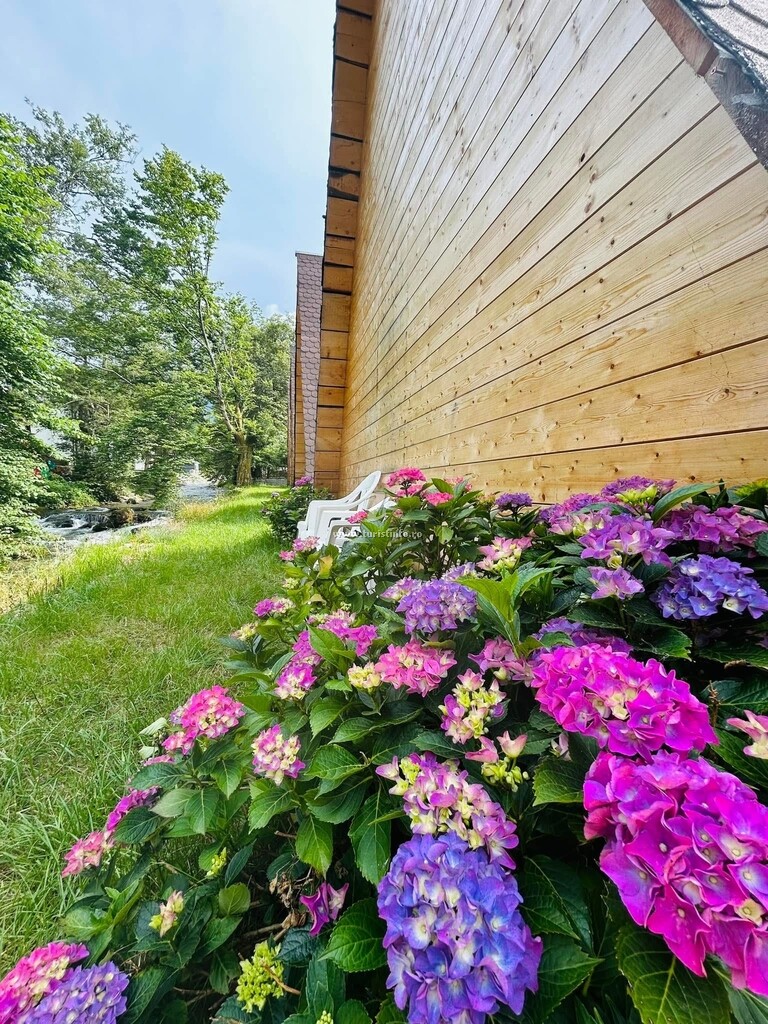 Bungalow Green Forest Transfăgărășan