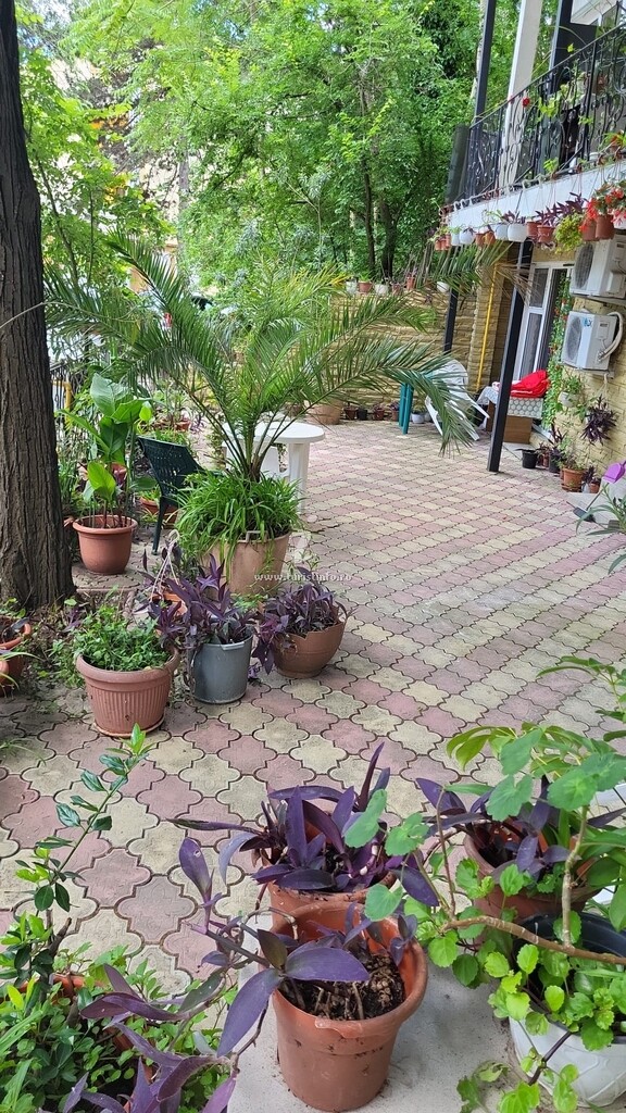Camere de închiriat Denisa