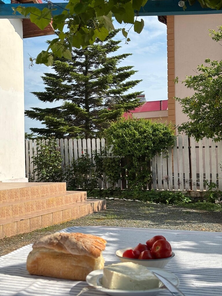 Camere de închiriat Toate Pânzele Sus