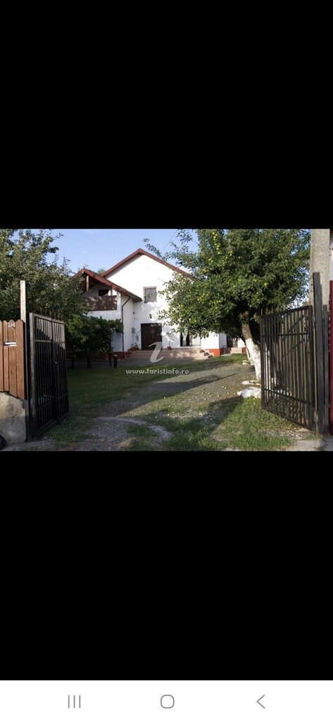 Camere de închiriat Toate Pânzele Sus