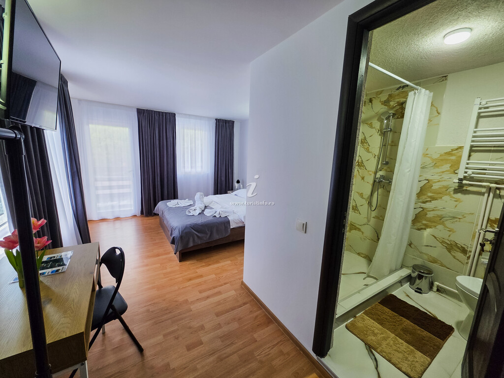 Casa Bănică