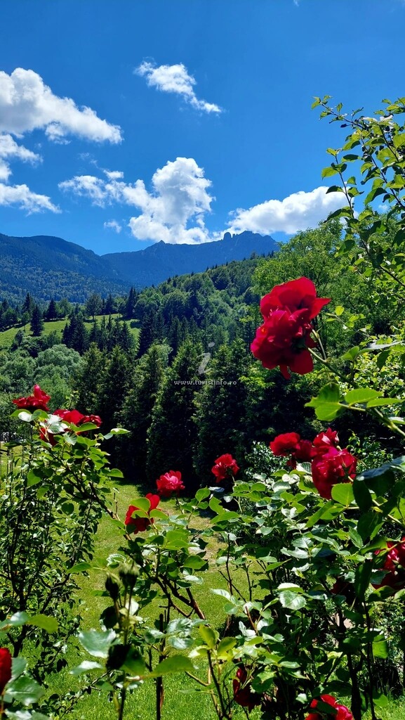 Pensiunea Dochița