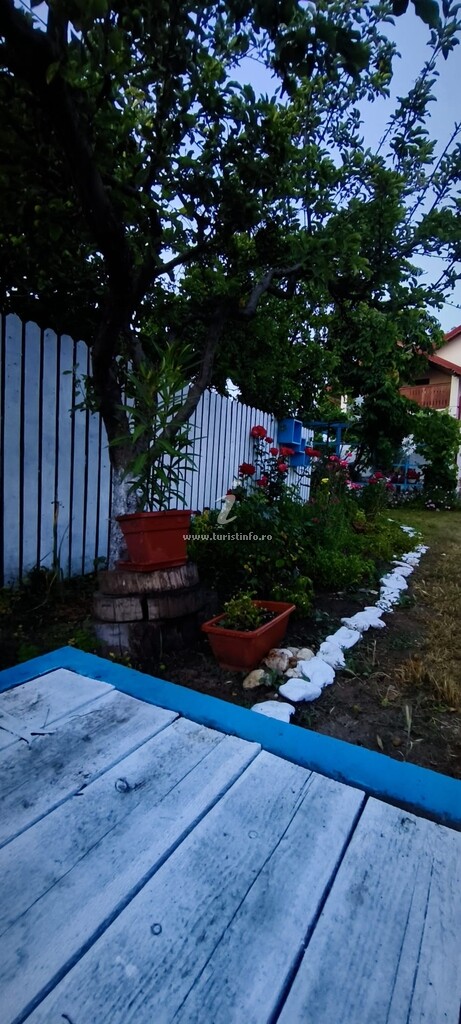 Camere de închiriat Toate Pânzele Sus