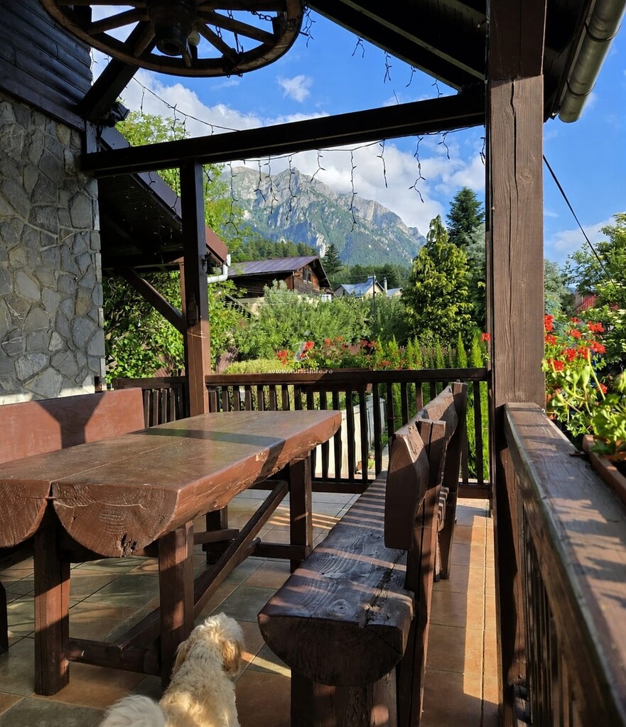 Vila Drumul Domnșiorilor
