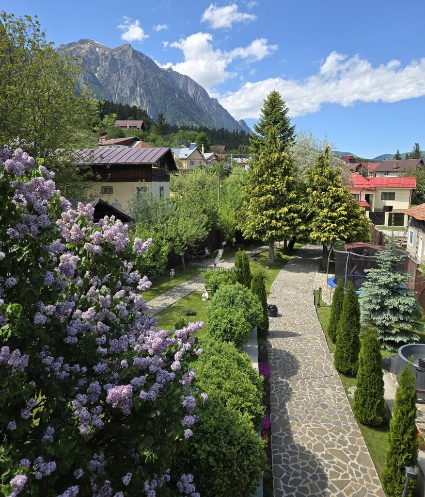 Vila Drumul Domnșiorilor