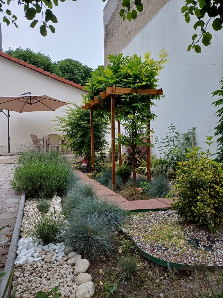 Casa Steli