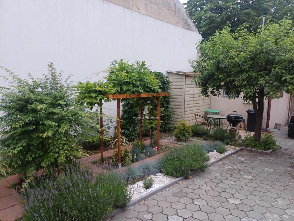 Casa Steli