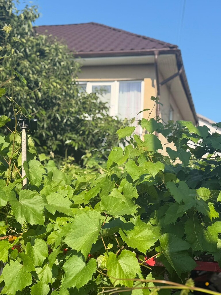 Vila Miruna Andreea