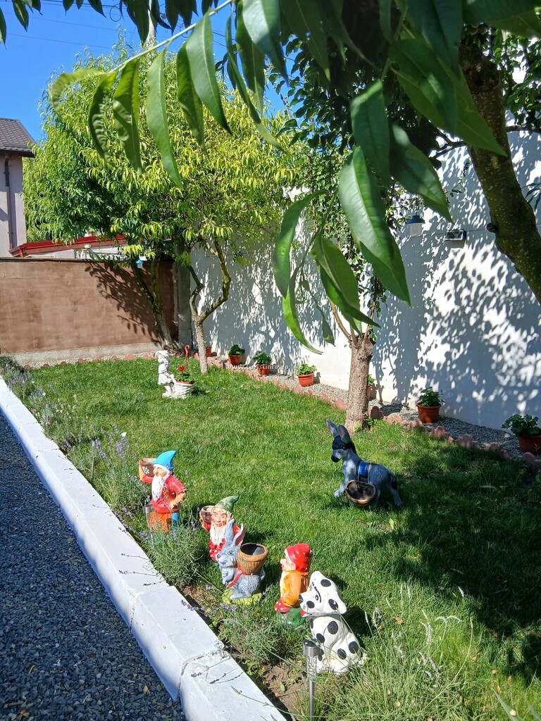 Vila Miruna Andreea