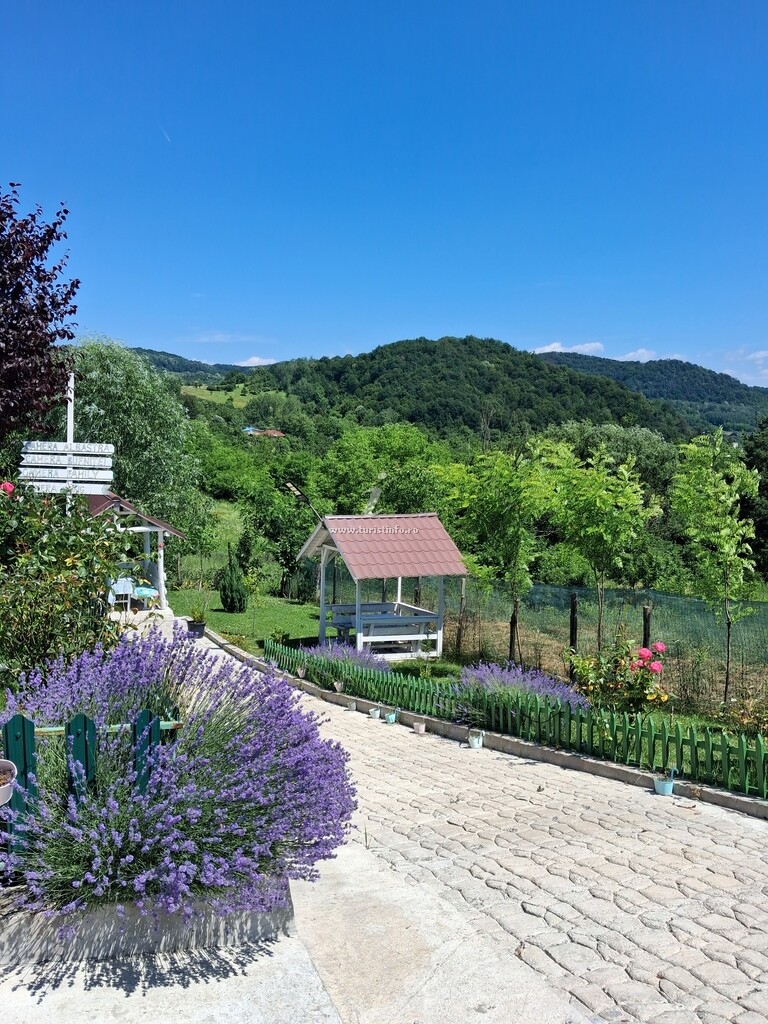 Camping Căsuțele Verzi