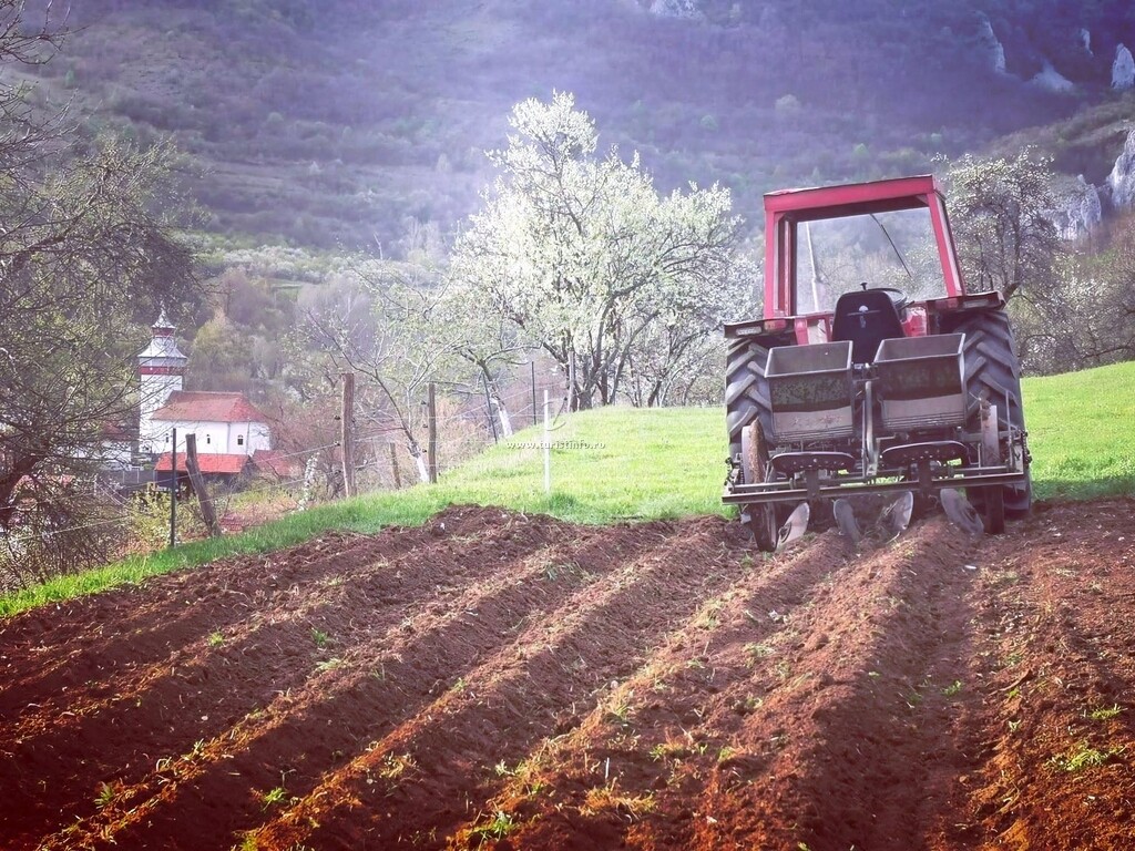 Casa de vacanță Tihna