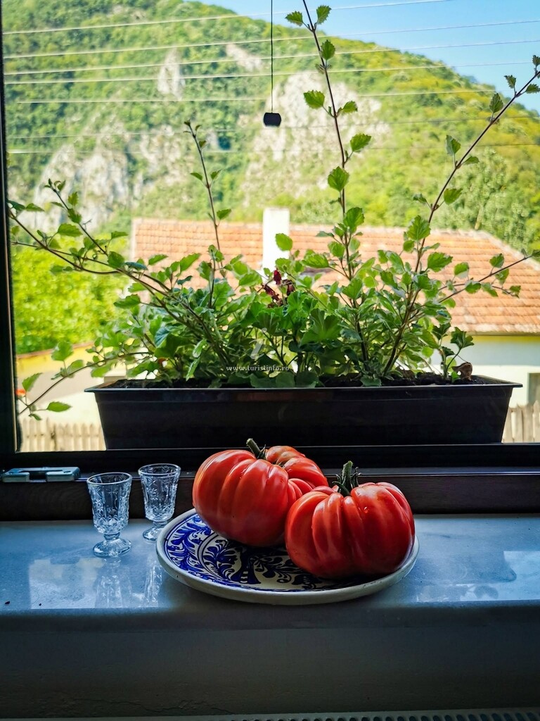 Casa de vacanță Tihna