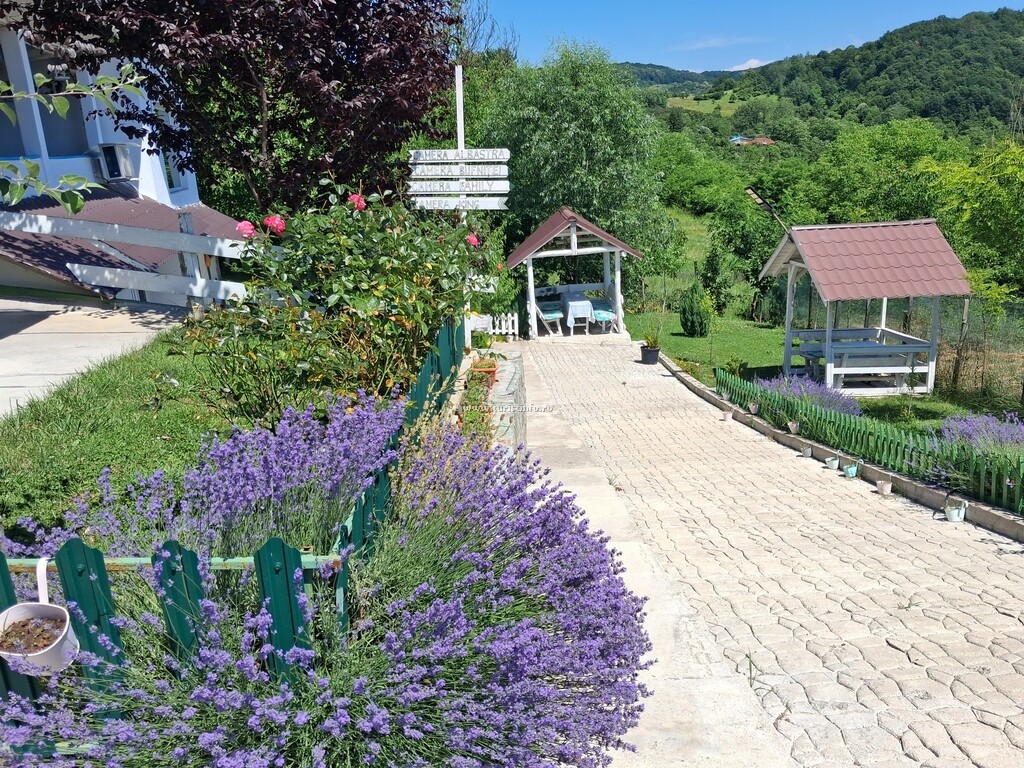 Camping Căsuțele Verzi