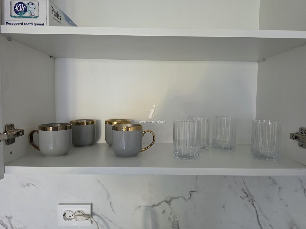 Apartament Flavius