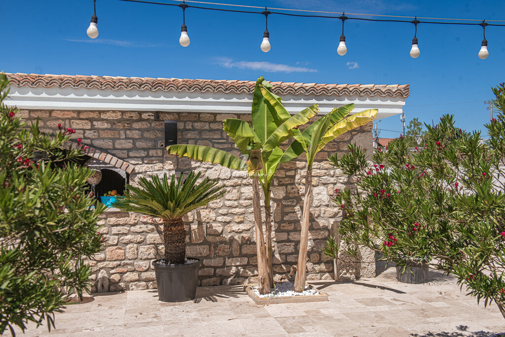 Camere de închiriat Escape