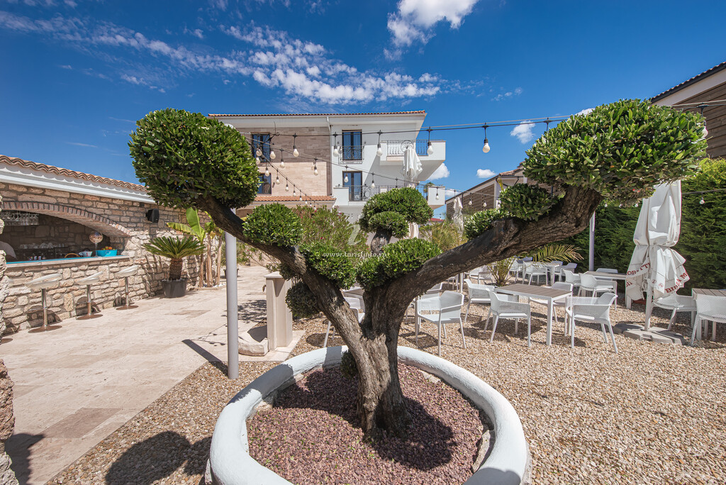 Camere de închiriat Escape