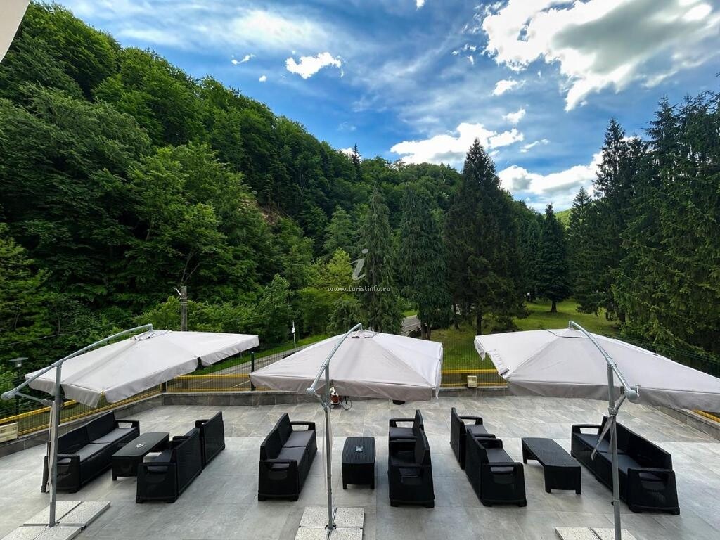 Camere de închiriat Montana Inn