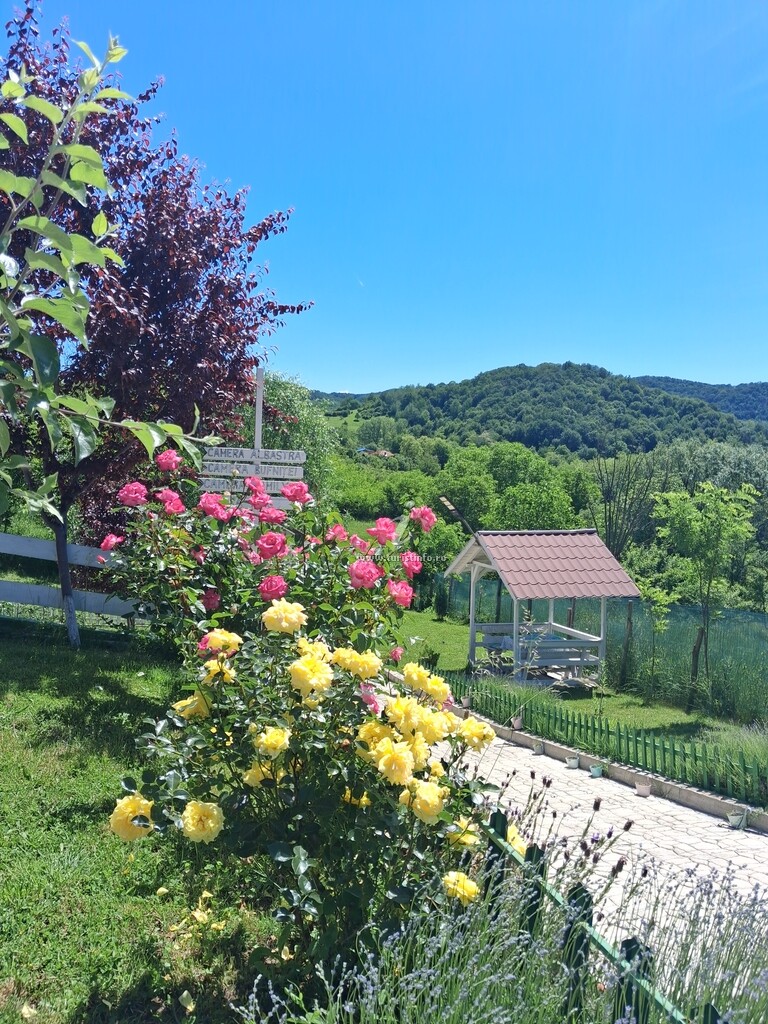 Camping Căsuțele Verzi
