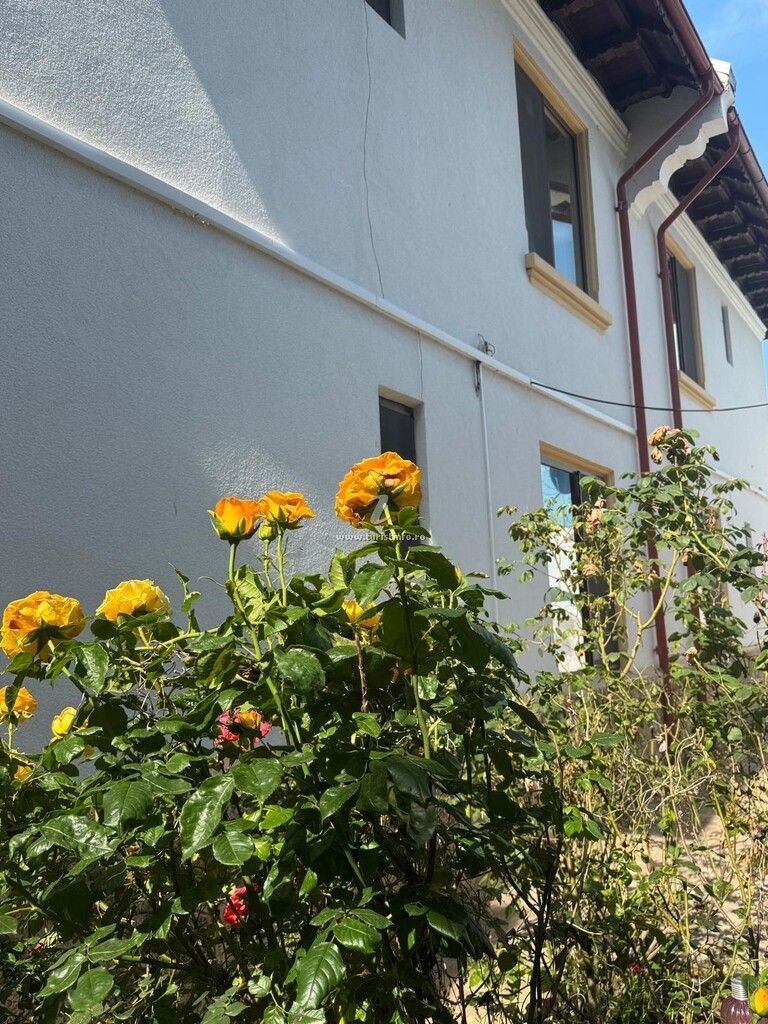 Vila Greta