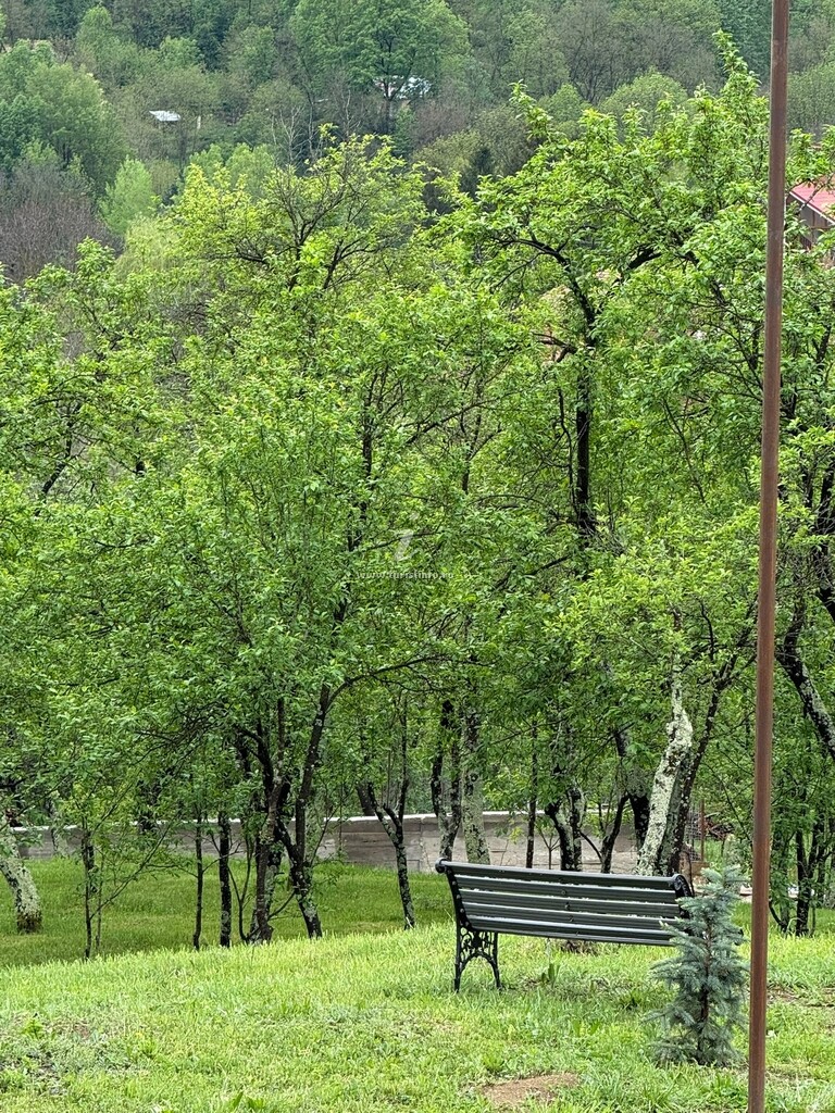 Vila Zen Resort and Winery