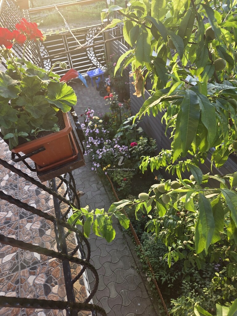 Casa Dyana