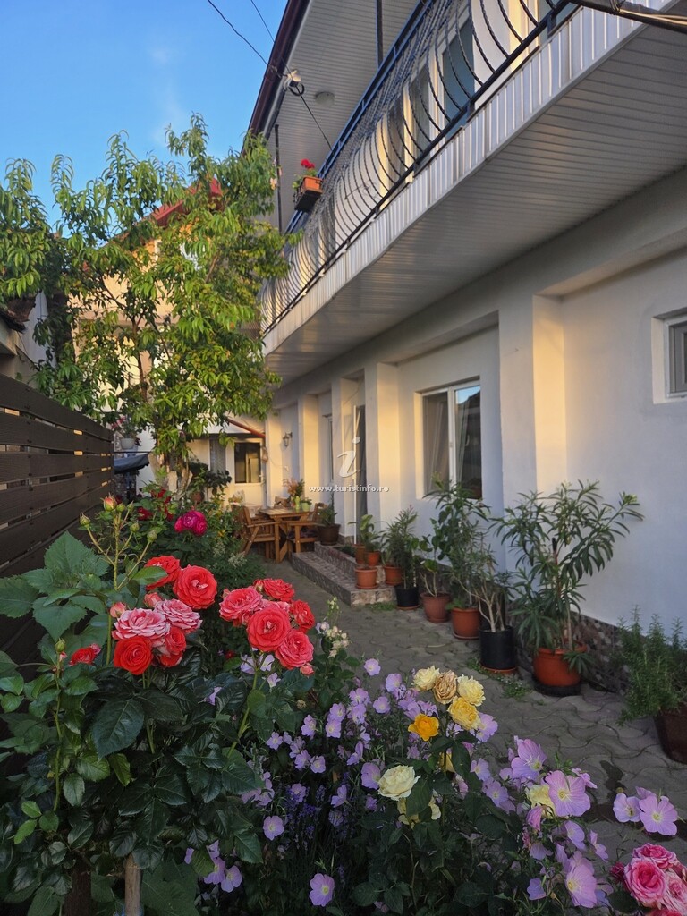 Casa Dyana