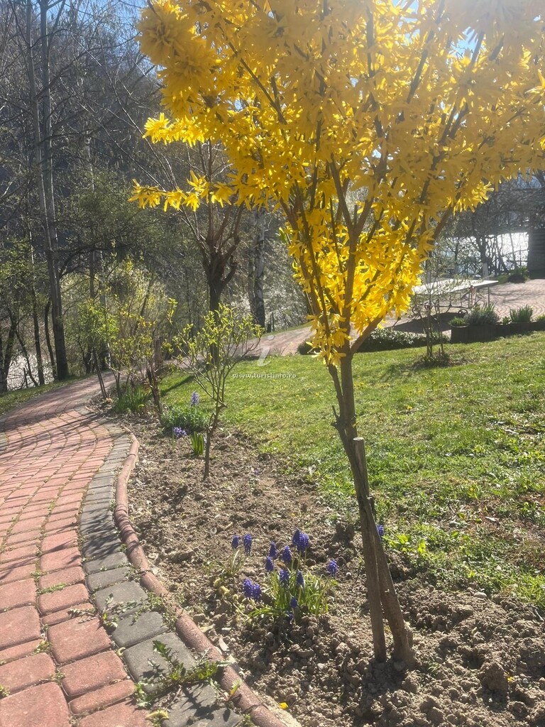 Pensiunea Casa Bucureasa
