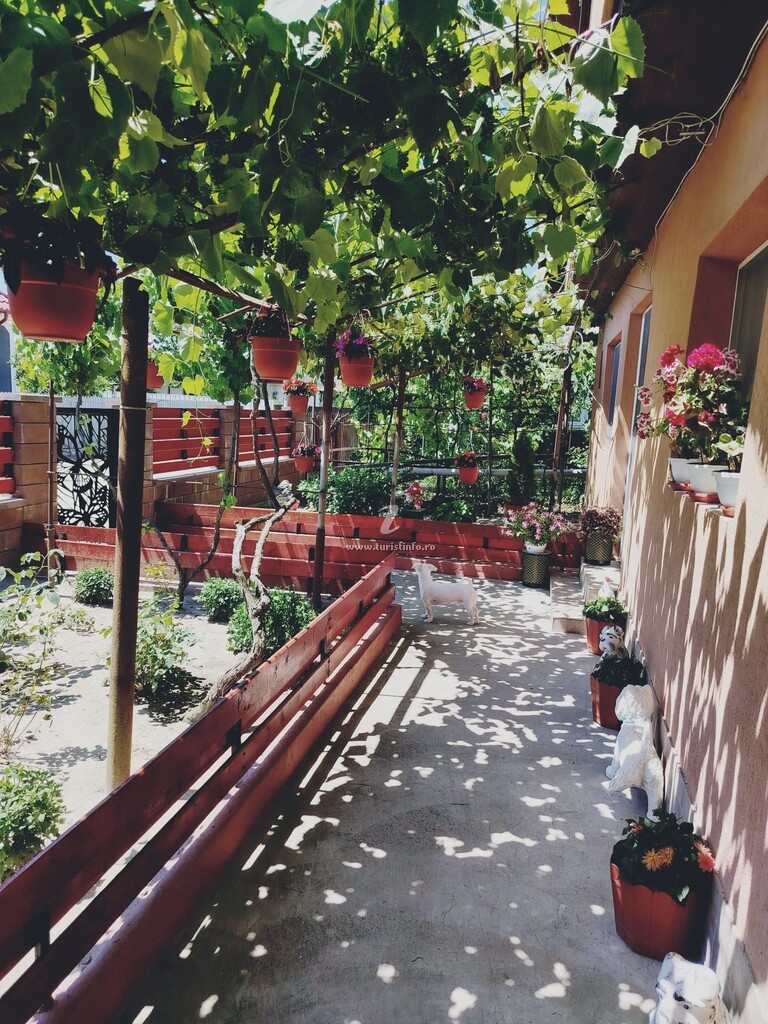 Casa Lili