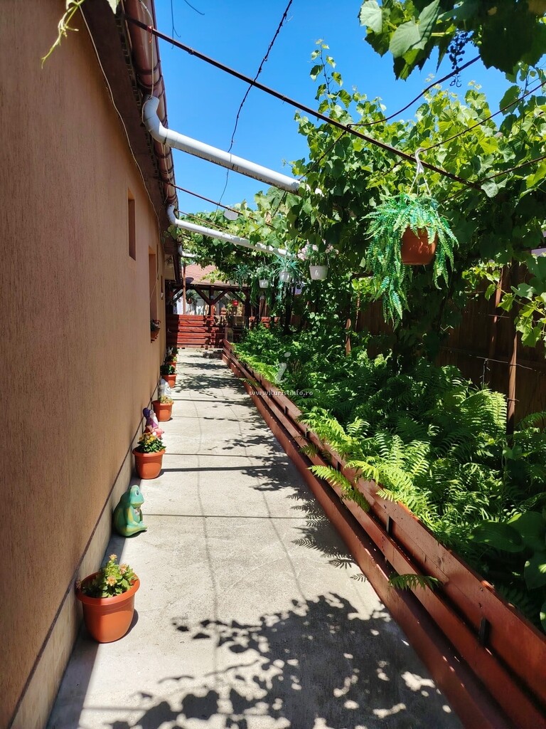 Casa Lili