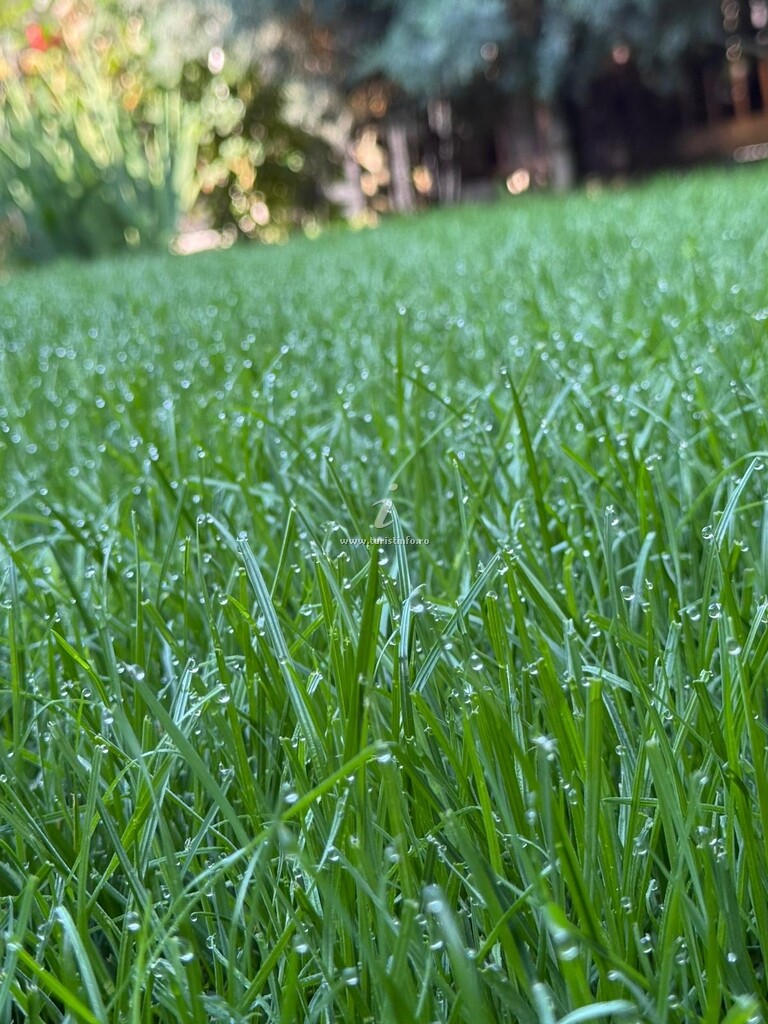 Căsuța Bunicii