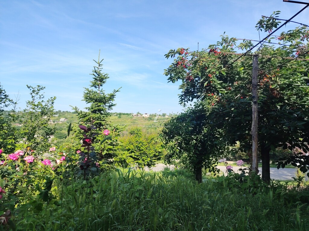Căsuța Bunicii