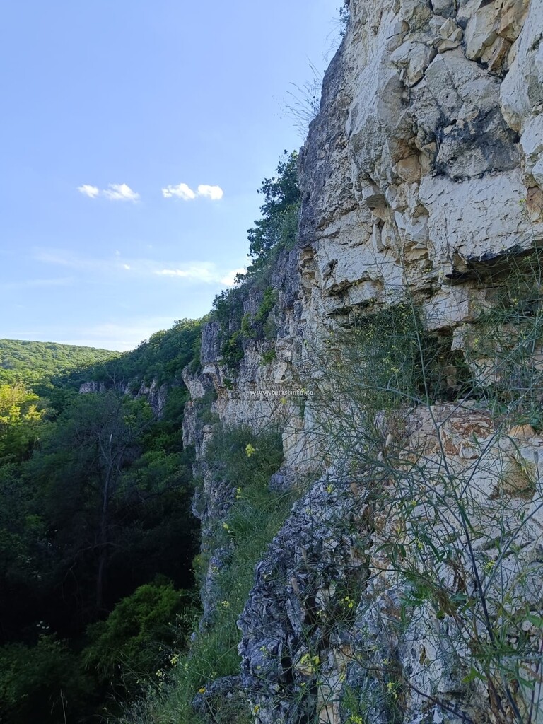 Căsuța Bunicii