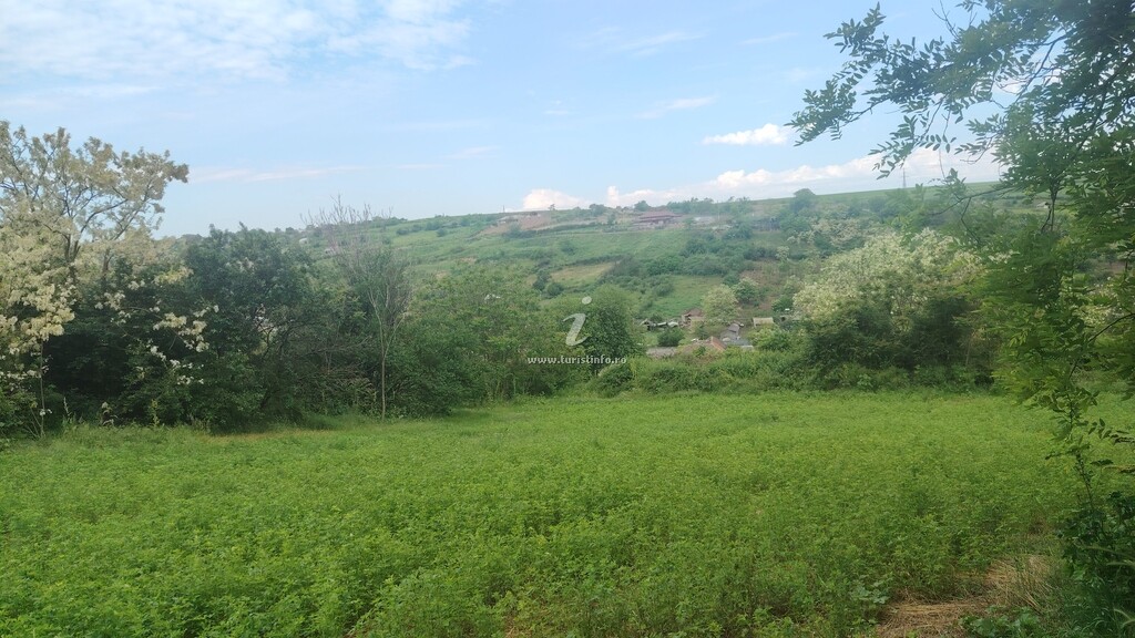 Căsuța Bunicii
