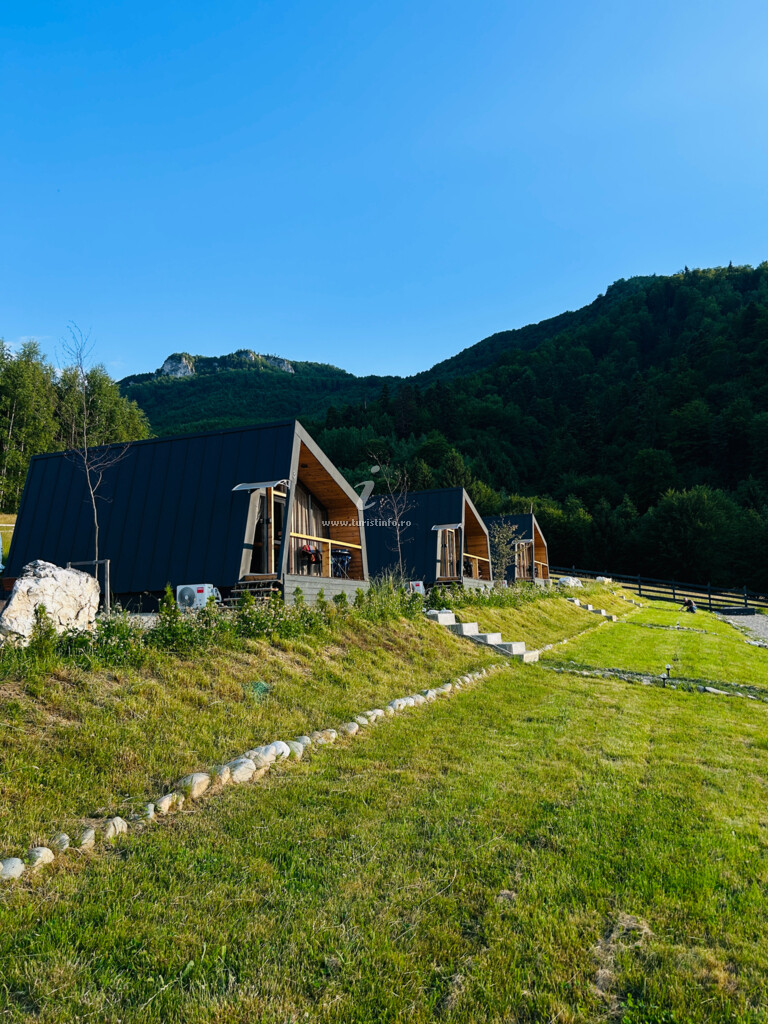 Căsuțele Forest Cuib