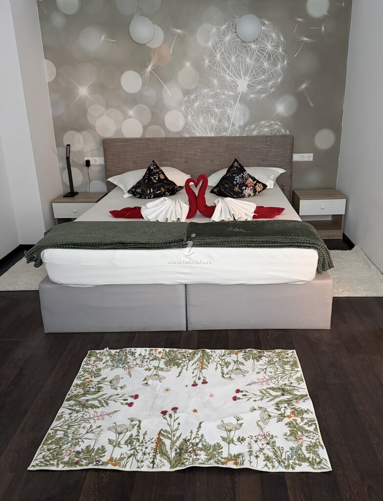 Camere de închiriat NeDa