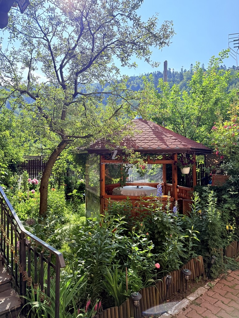 Camere de închiriat Casa Topliceanu