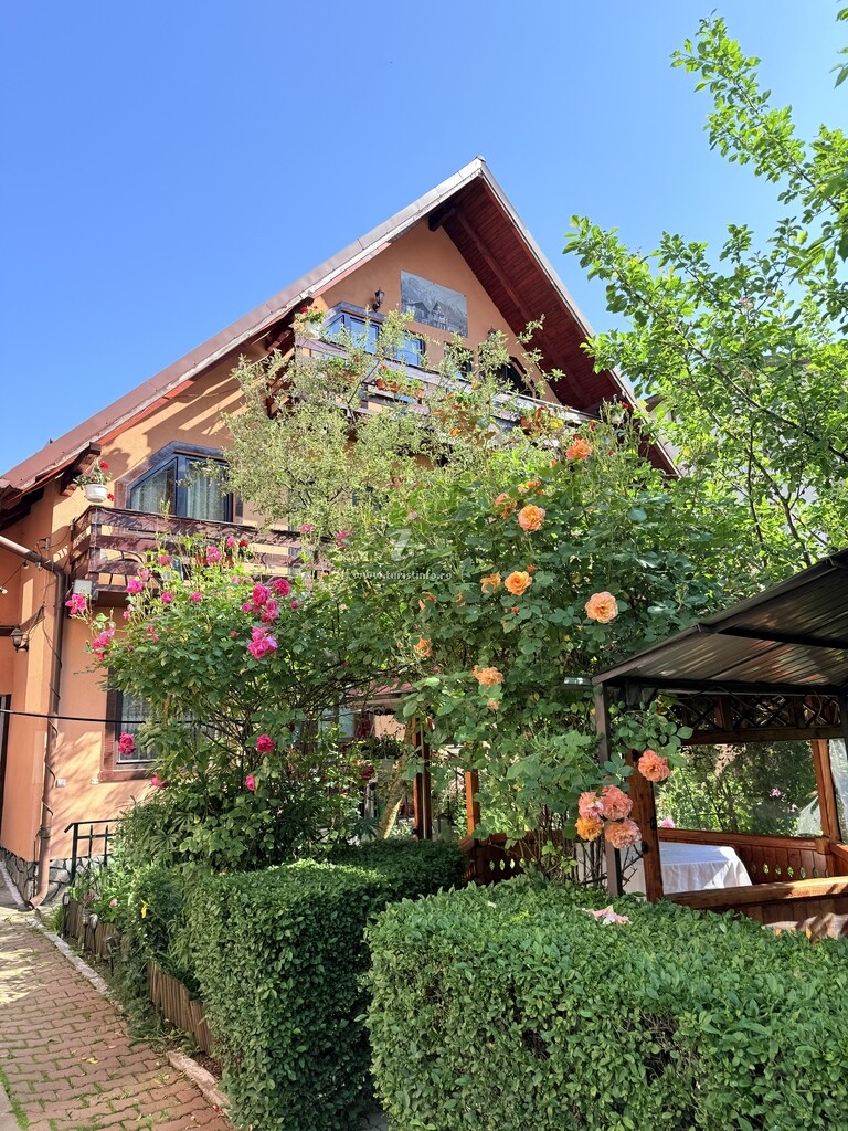 Camere de închiriat Casa Topliceanu