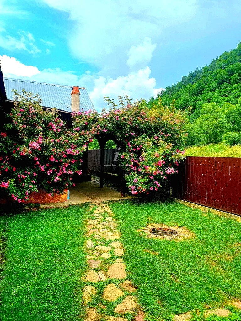 Vila Alina