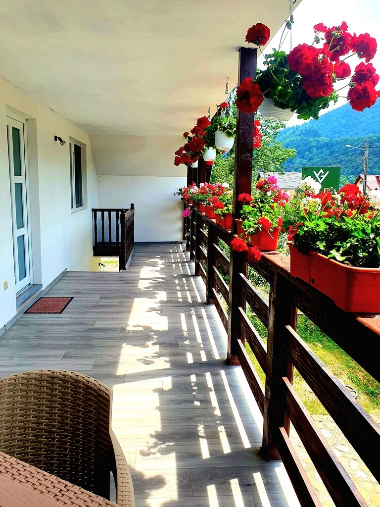 Vila Alina