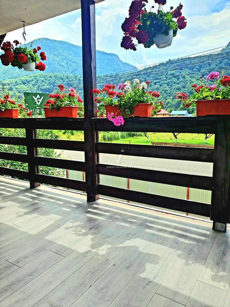 Vila Alina