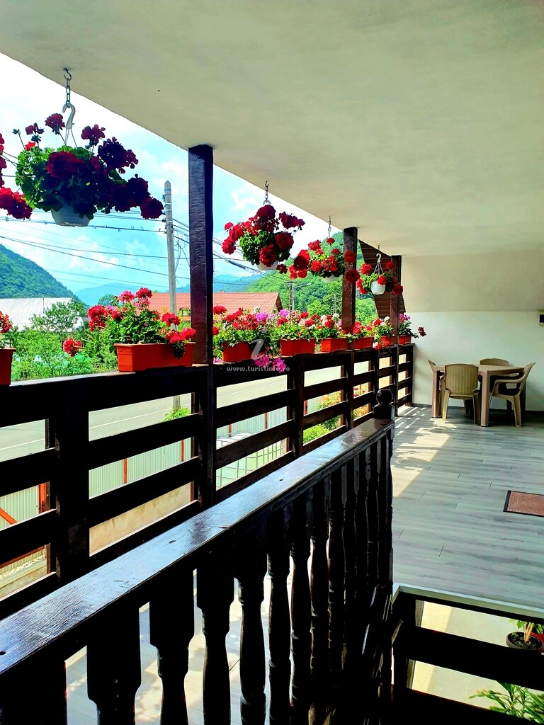 Vila Alina
