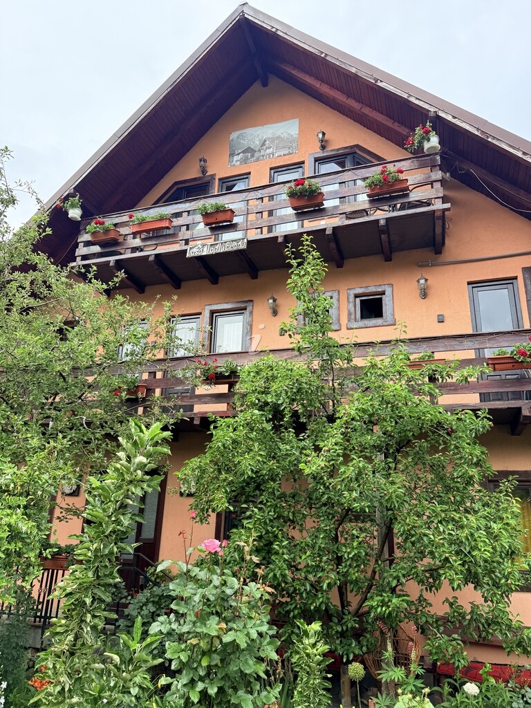 Camere de închiriat Casa Topliceanu