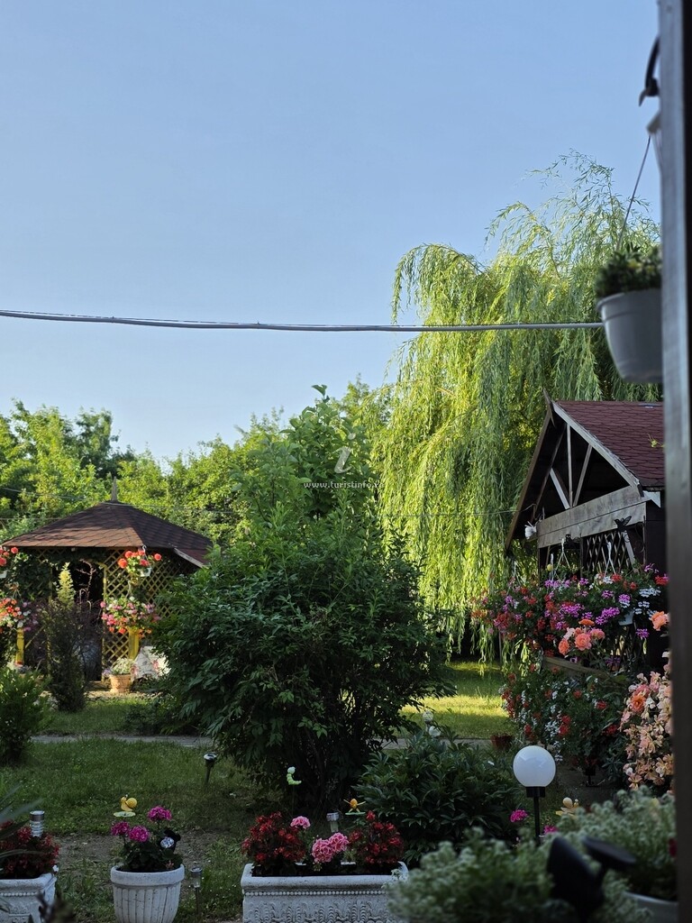 Vila Vlad