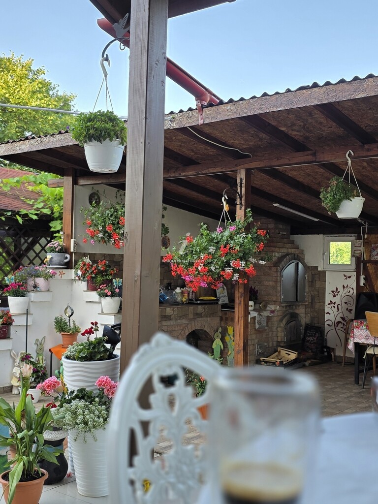 Vila Vlad
