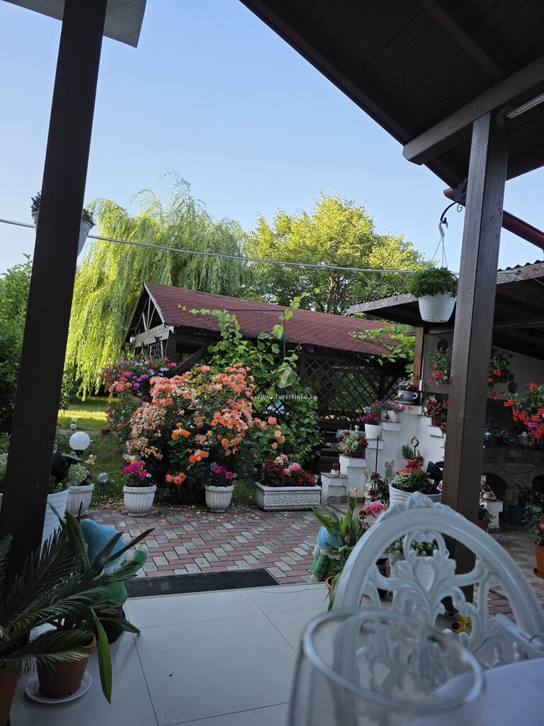 Vila Vlad
