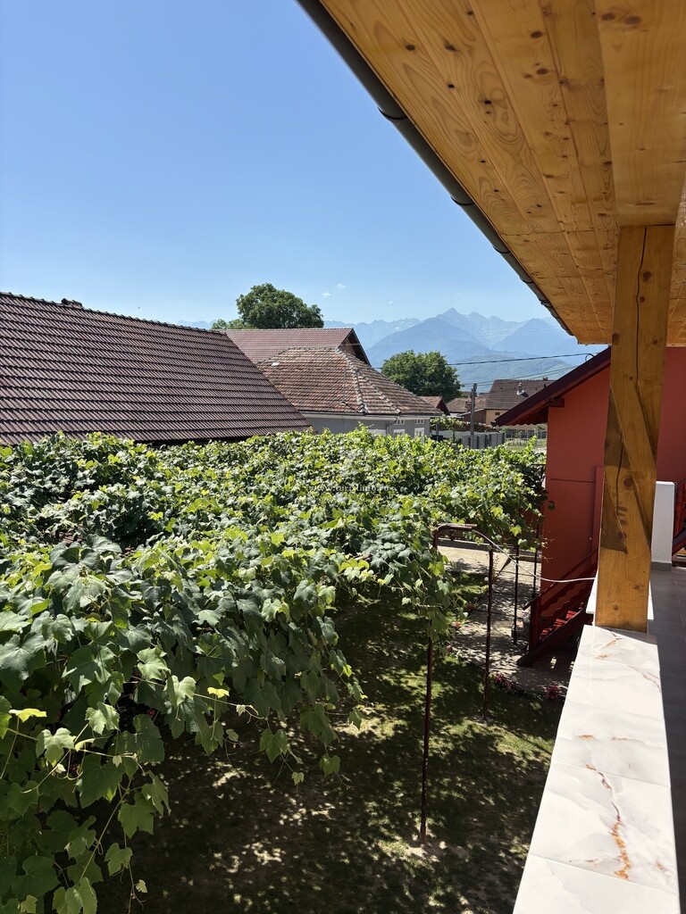 Casa Alex
