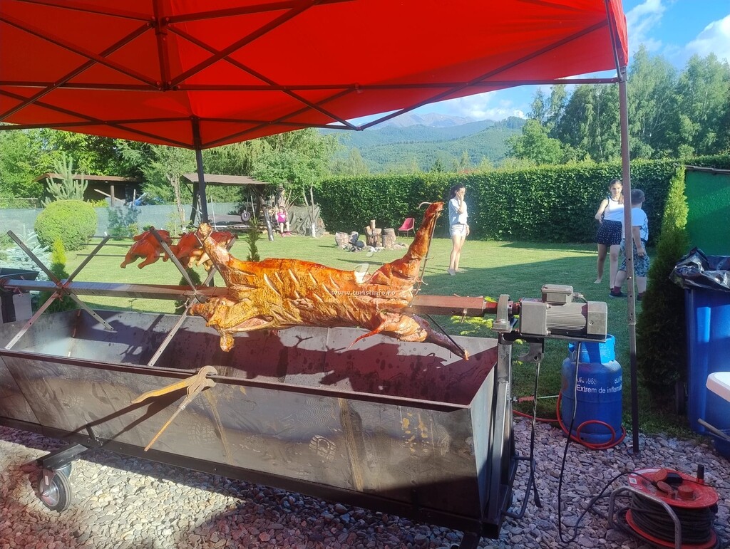 Cabana Aer de Munte